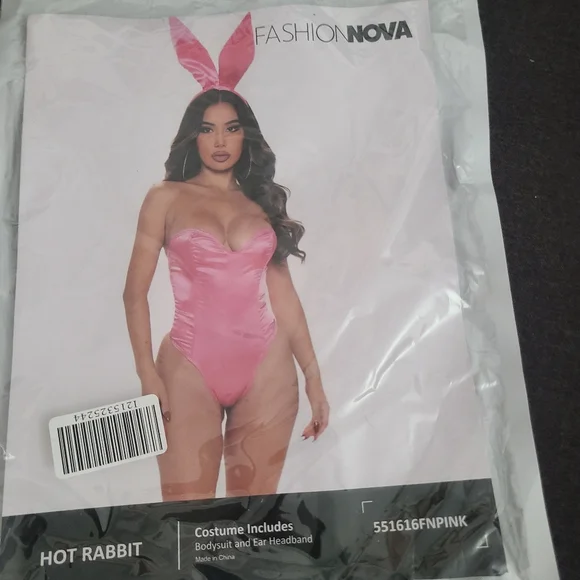 Pink Hot Rabbit Fashion Nova costume - Picture 3 of 6